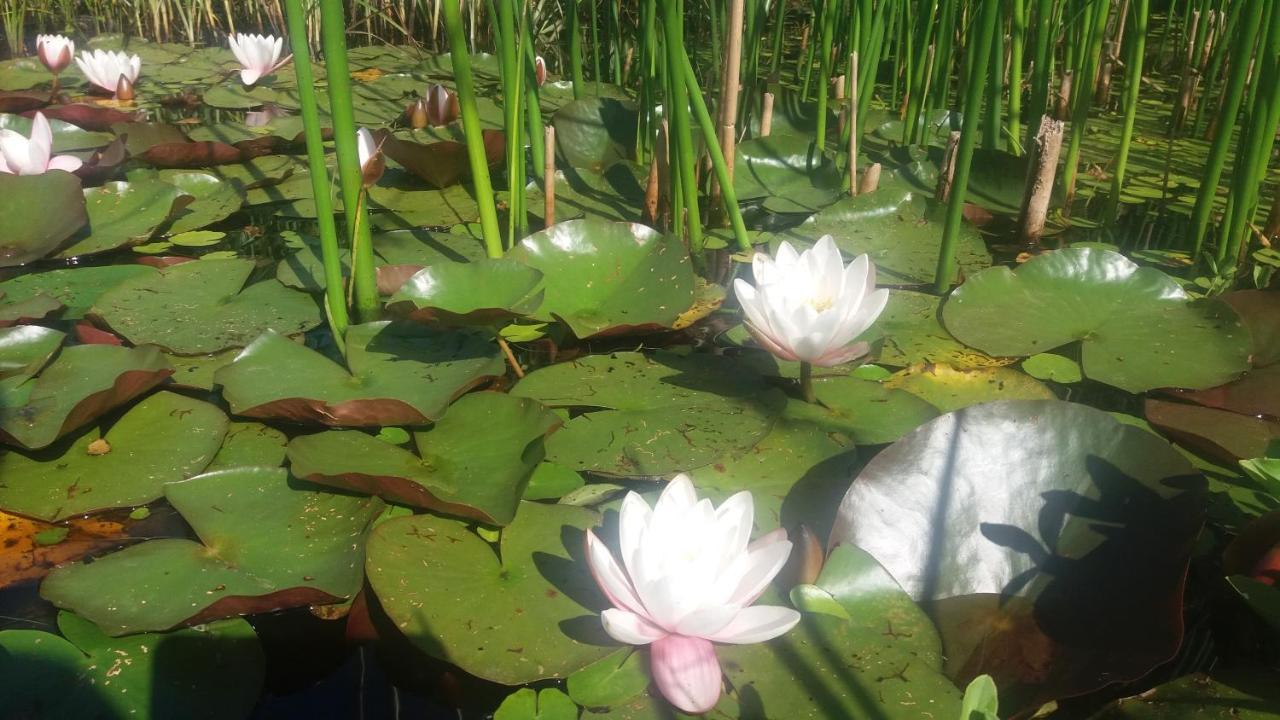 לינה וארוחת בוקר פרנקורשנס "Un Matin Au Jardin" מראה חיצוני תמונה