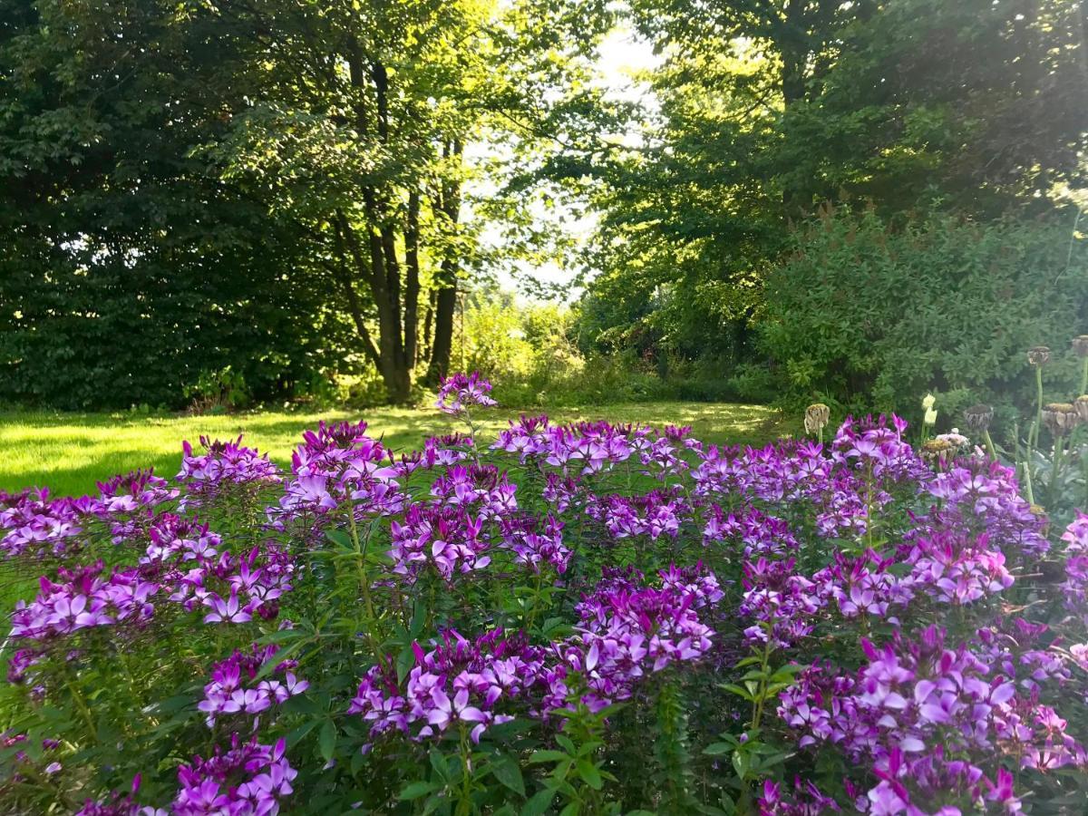 לינה וארוחת בוקר פרנקורשנס "Un Matin Au Jardin" מראה חיצוני תמונה